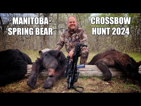 Видео: Весенняя охота на медведя с арбалетом в Манитобе!