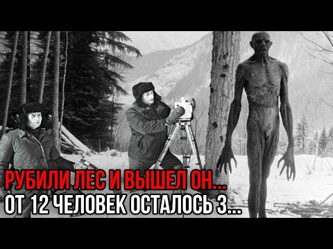 Видео: Подземное Существо Вылезло к Людям в Тайге | Подземный Чёрт Появился Перед Людьми|ёрт Вышел из Земли