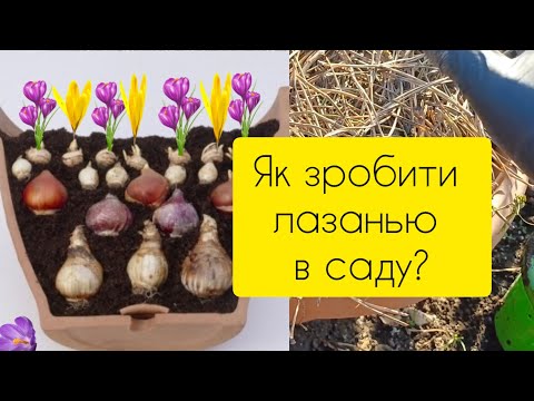 Видео: Як зробити лазанью в саду?