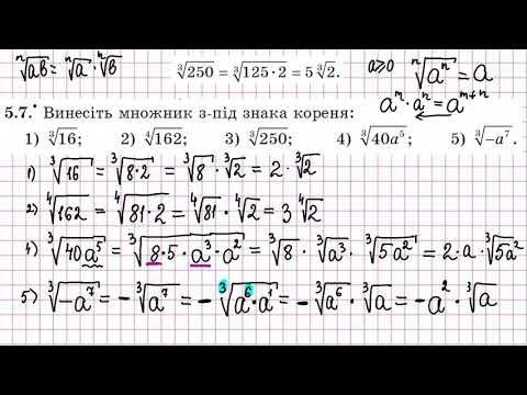 Видео: винести і внести