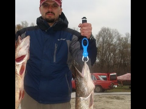 Видео: ТРОЛЛИНГ - ловля трофейной щуки на Днепре.