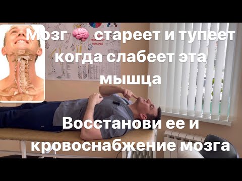 Видео: Мозг стареет и тупеет, когда слабеет эта мышца шеи. Восстанови ее и свежая кровь хлынет в твой мозг