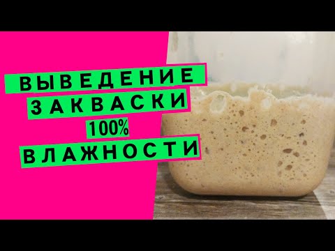 Видео: Как вывести пшеничную закваску для хлеба: пошаговое видео [универсальная закваска 100% влажности]