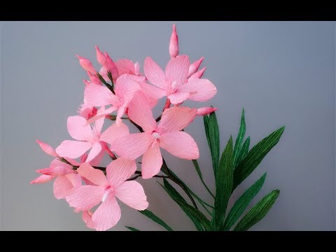 Видео: ABC TV | Как сделать бумажный цветок Nerium Oleander из крепированной бумаги - учебник по ремеслу