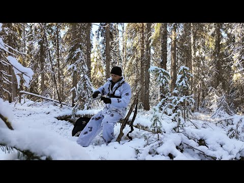 Видео: В тайгу с Устаичем. Профукал буржуйский обед! А шанс был... Зима пришла нежданно.