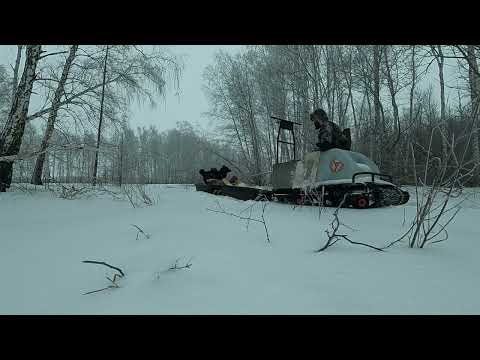 Видео: Охота на куницу. Нахаживание Соболя