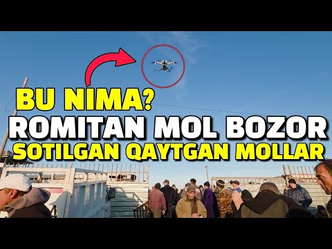 Видео: BUXORO ROMITAN QÒRGON MOL BOZOR 13.11.2025. СОТИЛГАН ВА КАЙТГАН РЕАЛ САВДО.