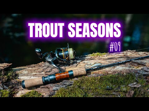 Видео: Trout seasons #09 - Ловля форели летом.