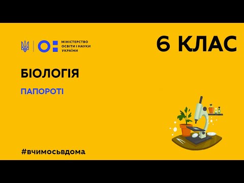 Видео: 6 клас. Біологія. Папороті (Тиж.1:ЧТ)