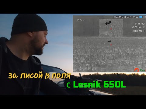 Видео: Охота на лис в кукурузном поле с тепловизором Lesnik 650L