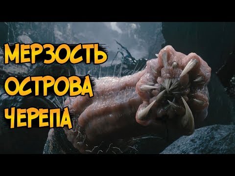 Видео: Самые мерзкие твари и паразиты Острова Черепа из фильма Кинг Конг 2005