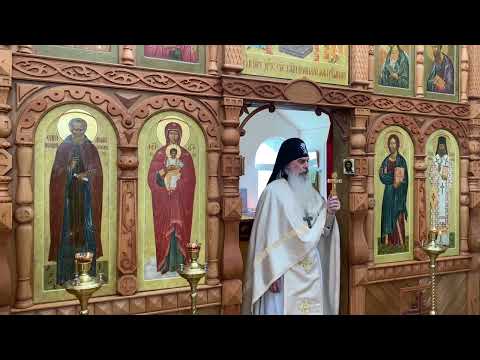 Видео: Откуда у нас каша в голове.