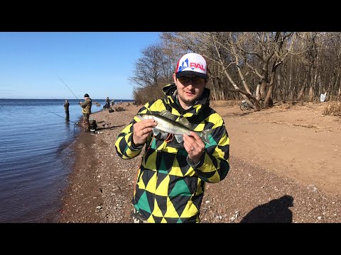 Видео: Рыбалка на "Шипучке" Прогулка за судачком!!!!, Или как убежали от полиции ) рыбалка в СПБ