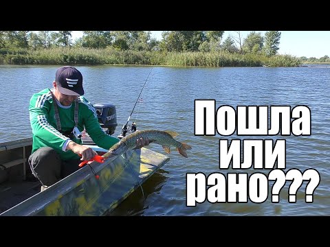Видео: ЩУКА УЖЕ КЛЮЕТ??? Или рано? Рыбалка на Днепре.