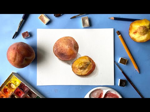 Видео: Как рисовать акварелью персики с натуры. Акварель мастер класс / watercolor botanical tutorial