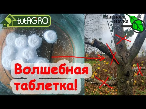 Видео: ЭТА ТАБЛЕТКА - СПАСИТЕЛЬ САДА! Смажьте срезы и раны, сделайте искореняющую обработку - и сад здоров!