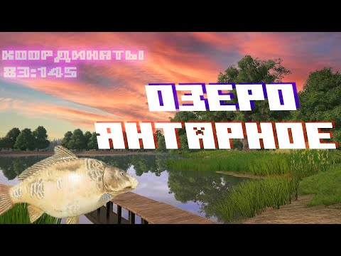 Видео: Янтарное озеро место ловли 83:145 клипса 35 русская рыбалка 4