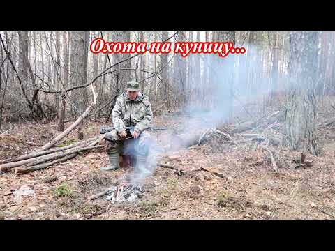 Видео: Охота на куницу