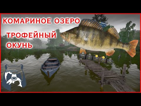 Видео: Трофей окунь на комарином озере. #рр4 #русскаярыбалка4