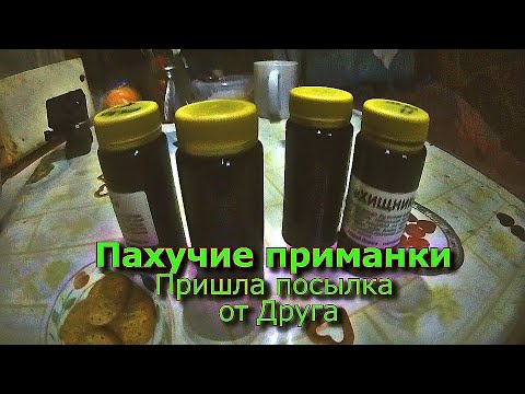 Видео: Пахучие приманки Посылка от Друга