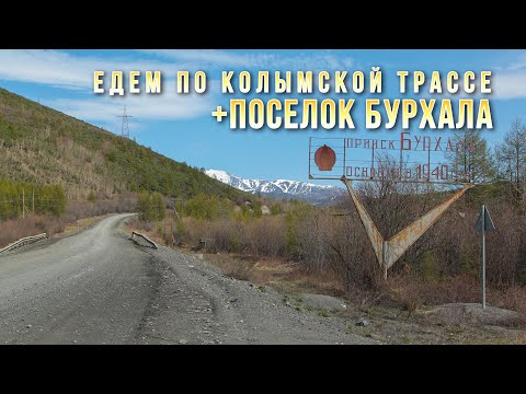 Видео: Автопрогулка. Колымская трасса. Ягодное-Сусуман + ПОСЕЛОК БУРХАЛА