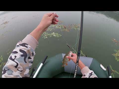 Видео: Рыбалка озеро Шалинское!!! Спиннинг! Разведка на лодке.