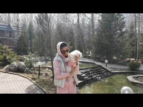 Видео: Мой MAYBACH