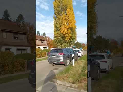 Видео: Жизнь в Гамбурге,  5 ноября 2025, решение ПСИ проблем, самопомощь #Гамбург #здоровье #психология