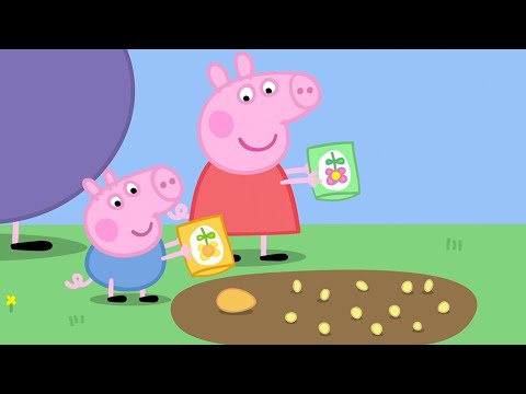 Видео: Мультфильмы Серия - Свинка Пеппа 5x12