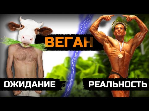 Видео: Как нас обманывают Веганы: Правда о спорте без мяса!