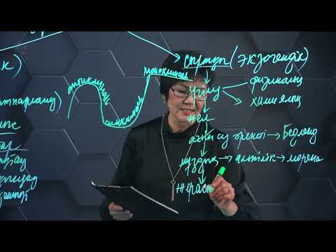 Видео: Жер бедерінің қалыптасу және таралу заңдылықтары. 8 сынып.