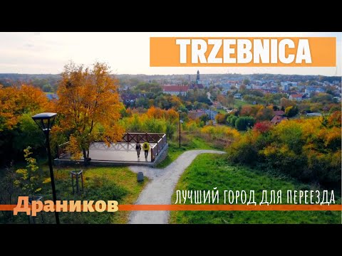 Видео: Trzebnica. Город куда мы переехали. Новый виток части жизни