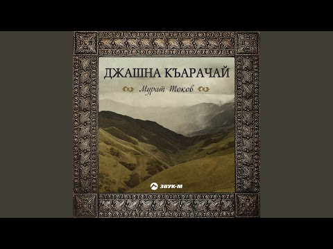 Видео: Ариуум (Красивая)