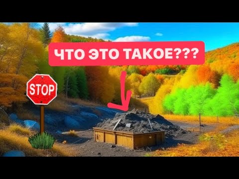 Видео: Что скрывает лес на Сахалине? | Диггеры нашли нечто