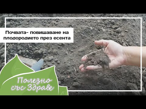 Видео: Почва - Повышение Плодородия Осенью