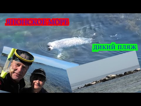 Видео: Японское море, дикий пляж, изумрудная вода, мыс "Баюзек"