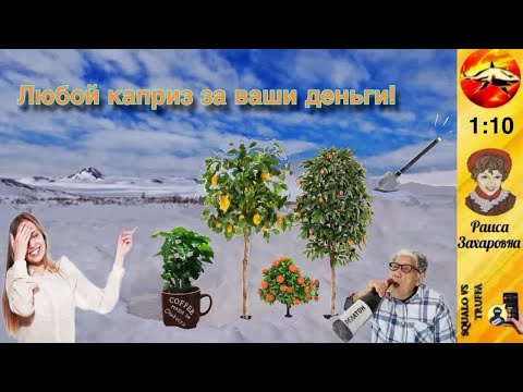 Видео: Телефонное мошенничество . Автор -  Раиса Захаровна.