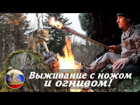 Видео: Выживание с ножом и огнивом!  Ночевка без снаряжения,дикие звери,осенняя тайга!