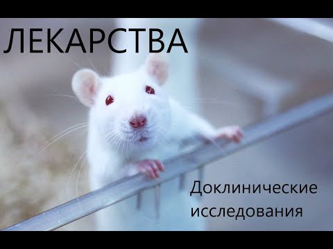 Видео: Лекарства. Доклинические исследования