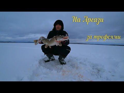 Видео: Когда вовремя сменил место.Ловим щуку на жерлицы.