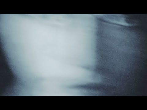 Видео: ЧТО У ВАС ПРОИСХОДИТ?🪾