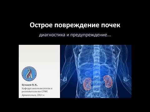 Видео: Острое повреждение почек и ХБП