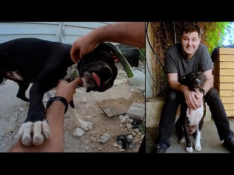 Видео: Когда всё меняется к лучшему: история Патрика