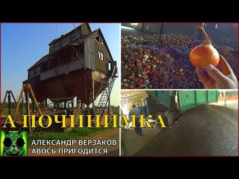 Видео: Началось в колхозе утро 3/67. Первый подсолнечник с поля. Перестраиваем ЗАВ-40 на семечку.