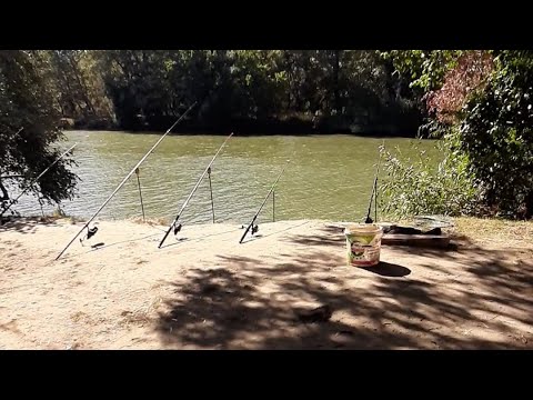 Видео: РЫБАЛКА С НОЧЕВКОЙ / ЯСКИ / КАРАСИ НА МАКУШАТНИК