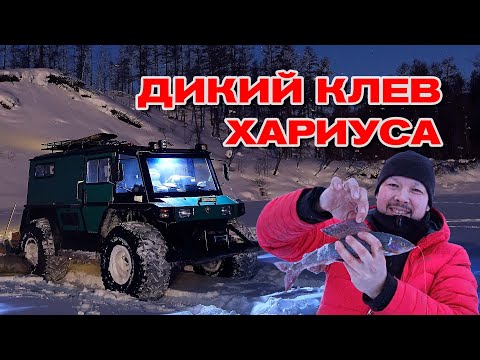 Видео: Дикикй клев хариуса. На вездеходе на подледную рыбалку.