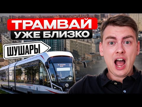 Видео: Почему все хейтят Шушары? Мой опыт за год! Шушары не узнать в 2025 году!
