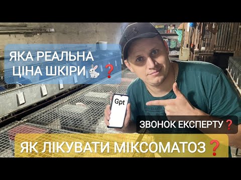 Видео: ТАЄМНИЦІ КРОЛІВНИЦТВА яка ЦІНА ШКІРИ? ДІЗНАЄМСЯ в ЕКСПЕРТА про МІКСОМАТОЗ в КРОЛІВ Чат Gpt