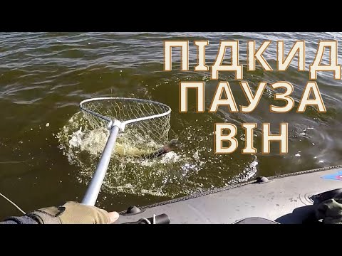 Видео: Як я Роблю ПРОВОДКУ на ПАСИВНОГО СУДАКА, Рибалка на судака