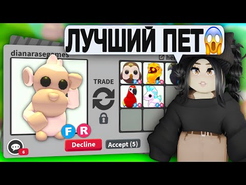 Видео: Я просто в ШОКЕ😱ТРЕЙДЫ на АЛЬБИНО ОБЕЗЬЯНУ в Адопт Ми | ЧТО ДАЮТ ЗА ALBINO MONKEY ПРОКАЧКА С НУЛЯ